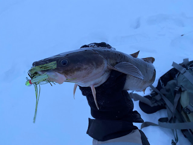 Greg Cholkan's Fishing Blog: February 2022