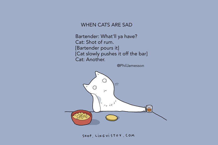 15 Illustrated Truths About Cats That Every Cat Owner Will Understand