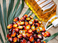 Selecting Superior Seeds for Good Oil Palm Growth