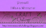 C.R.A.F.T. Challenge Winner