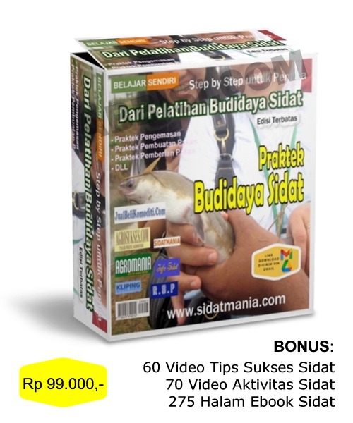 Tersedia Paket Belajar Sendiri: PRAKTEK BUDIDAYA SIDAT (KODE: PB)