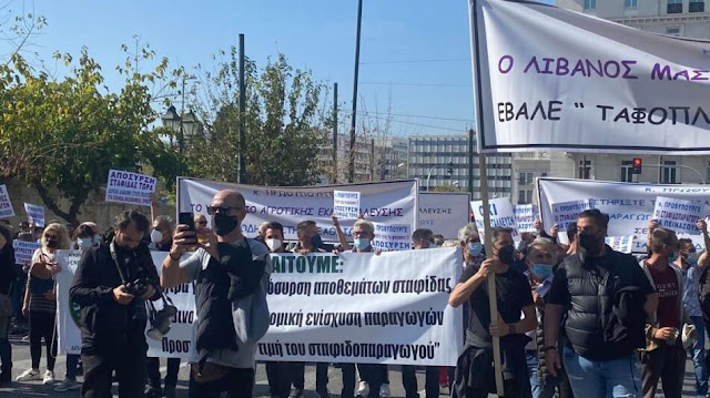 Οι παραγωγοί σταφίδας από την Πελοπόννησο βγήκαν στους δρόμους