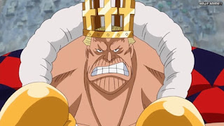 ワンピースアニメ ドレスローザ編 719話 エリザベロー キングパンチ | ONE PIECE Episode 719