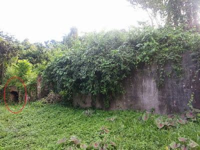 Figure 9. “Slave Pen” entrance (in red) on the Mount Rich Estate, St Andrew as part of the foundations of ruins of other buildings (the Author)