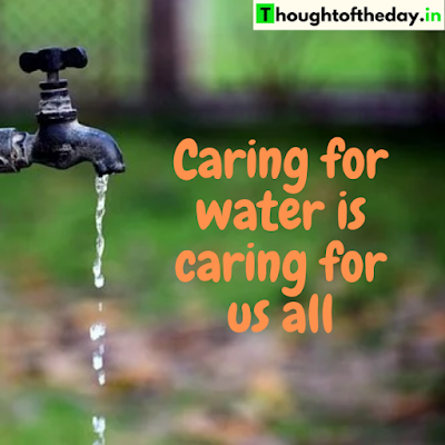 Best Quotes and Slogans On Saving Water