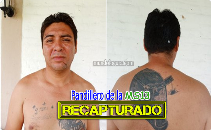 El Salvador: Recapturan a pandillero de la MS13 alias "Manitas" / Fue capturado en el año 2018 por un homicidio de un policìa pero un juez lo liberò