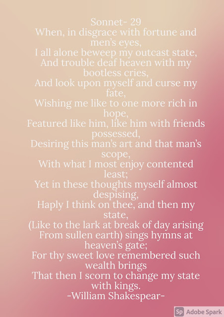 Sonnet 29