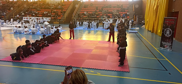 Kempo Kembudo España