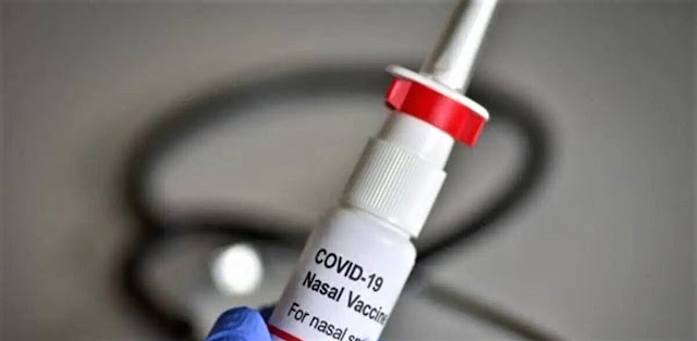 India approves world’s first intra-nasal Covid vaccine