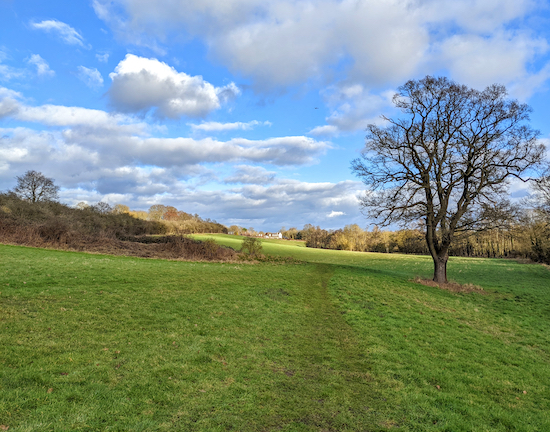 Turn left at the tree, still on Widford footpath 13