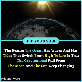 Amazing Facts About Planet Earth For Children, earth facts, earth, interesting facts about earth, facts about earth, earth facts images,