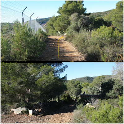 CIMS I COTES DEL BAIX PENEDÈS, EL VENDRELL-EL REPETIDOR-PUIG DEL LLEÓ-PUIG CLAPER-EL RAURELL-ROCA AGUILERA, camí en direcció al Repetidor