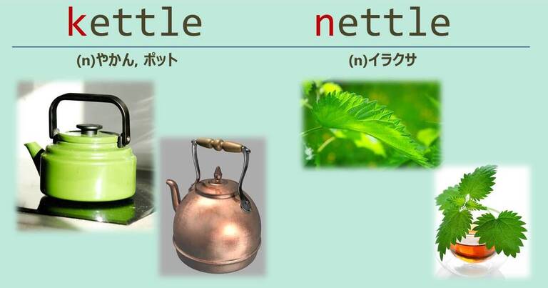 kettle, nettle, スペルが似ている英単語
