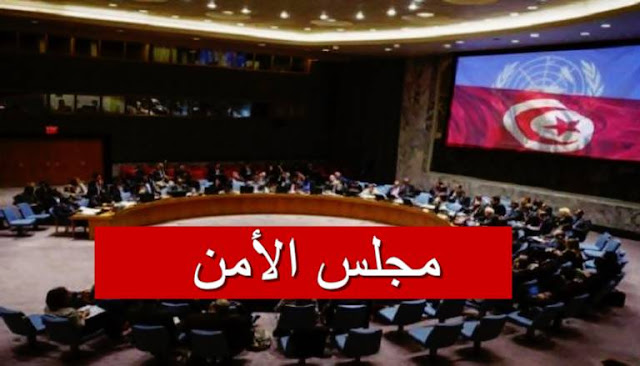 تونس تتختم عضويتها غير الدائمة في مجلس الأمن