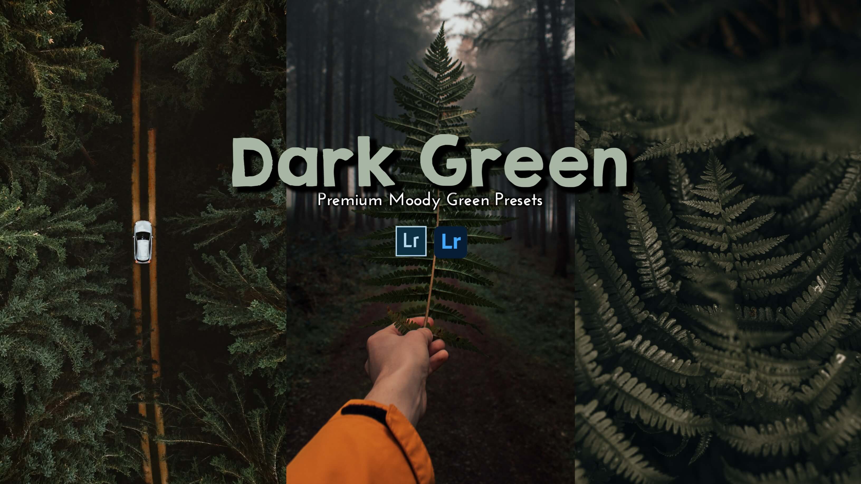 Dark Green FREE Lightroom Presets, Moody Green Free Lightroom Presets, Free Dark Green Presets lightroom, Free Moody Green Presets, Dark Green Presets, Free Lightroom Presets, Amman Presets, Amman Patro, Aman Lightroom Presets