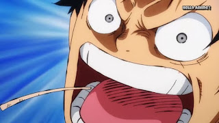 ワンピースアニメ 901話 ワノ国編 | ONE PIECE ルフィ かっこいい Monkey D. Luffy