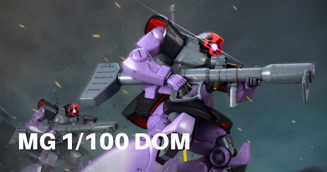 mg-1/100-dom-01