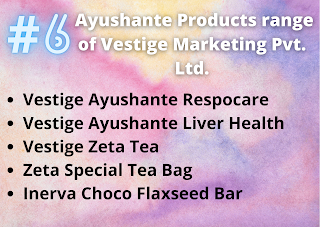 Vestige Marketing Pvt. Ltd.