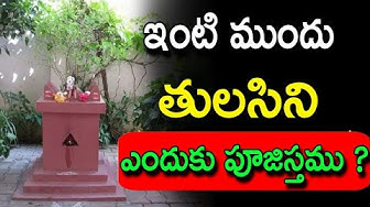 తులసిని పూజిస్తాము ఎందుకు?