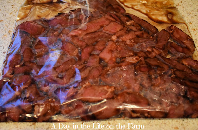 meat in marinade