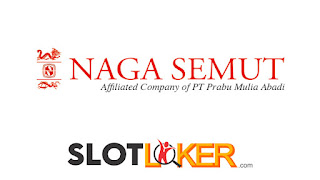 Loker Semarang S1 Supervisor Produksi dan Electrical Maintenance Engineer PT Naga Semut Terbaru 2022