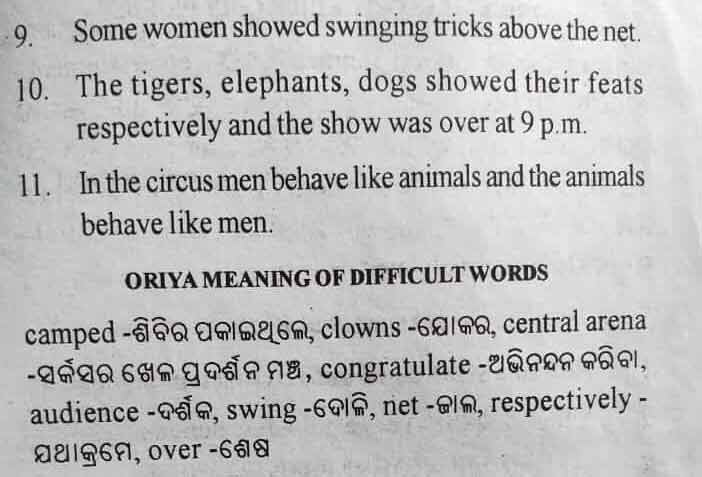 A Circus - 10 Lines Essay in English Language for Juniors