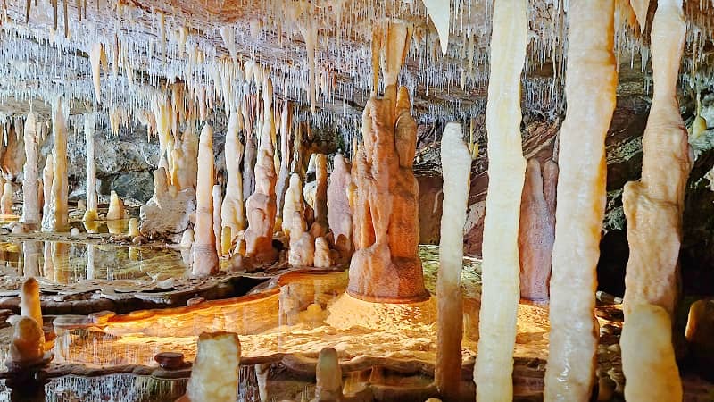Buchan Caves Reserve