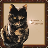 Isabella - Missed Forever