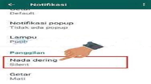 Cara Membisukan Telepon WA