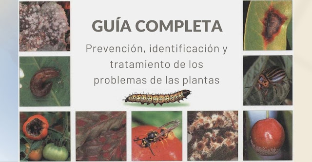 Prevención, identificación y tratamiento de los problemas de las plantas