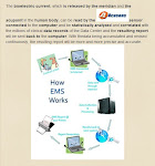 Electro Meridian Sensor (EMS)