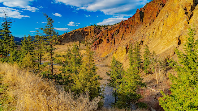 Canyon Wallpaper, Rocks, Trees, Landscape, Nature