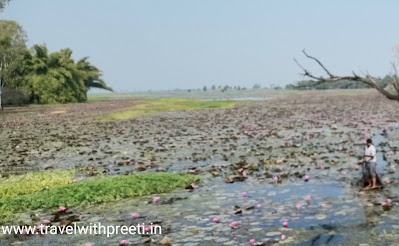 गुलावत लोटस वैली इंदौर - Gulawat Lotus Valley Indore