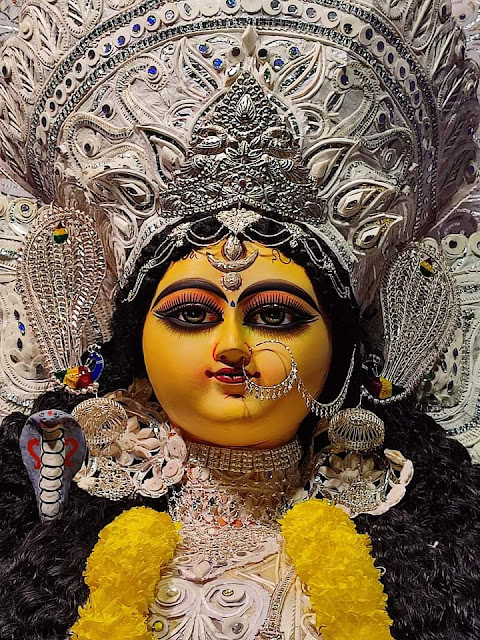 Maa Jagadhatri puja at Krishnagar and Chandannagar