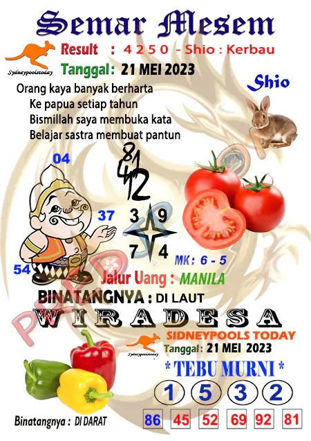 Prediksi Semar Mesem SDY Hari Ini JP 21 Mei 2023