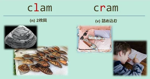 clam, cram, スペルが似ている英単語