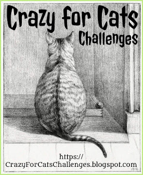 Crazy for cats challenges