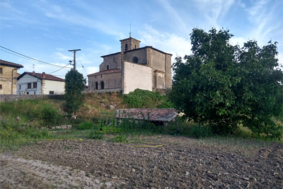 Regresamos a la carretera