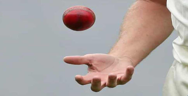 A cricket ball must weigh ____.