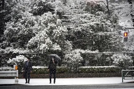 Ιαπωνία: Σφοδρή χιονόπτωση πλήττει το Τόκιο