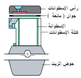 صورة توضح السلندر ووش السلندر والجوان