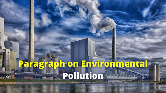 paragraph-on-environmental-pollution