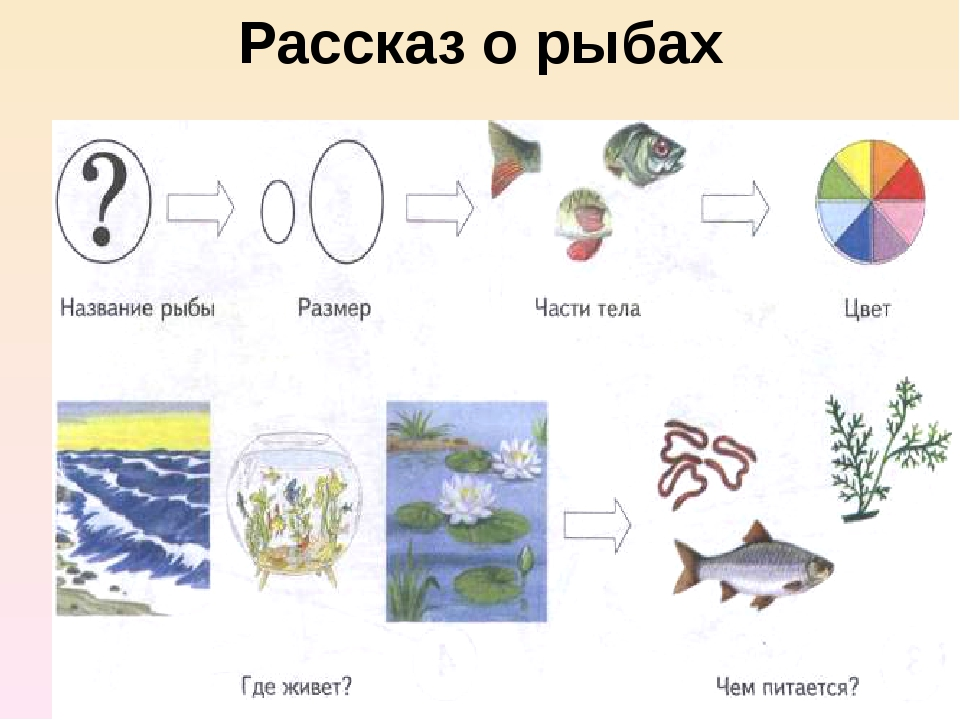 Звери расскажи что моря не. Схема составления рассказа о рыбе. Мнемотаблица рыбы для дошкольников. О рыбах для дошкольников рассказываем. Схема для составления описательного рассказа о рыбах.