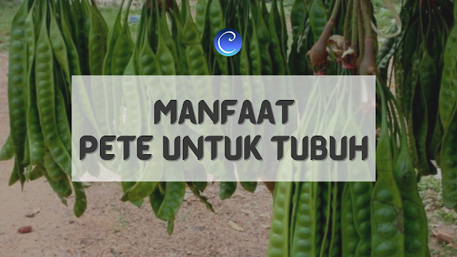 manfaat petai untuk kesehatan
