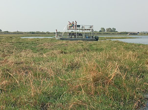 Cruising along the shore of " Sedudu Island " spotting wildlife.