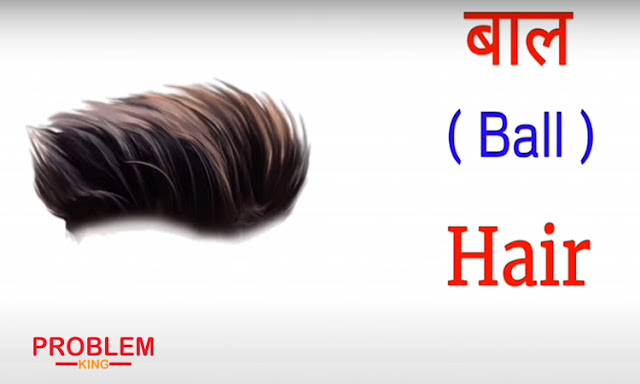 Human Body Parts Name Hindi & English with Pictures