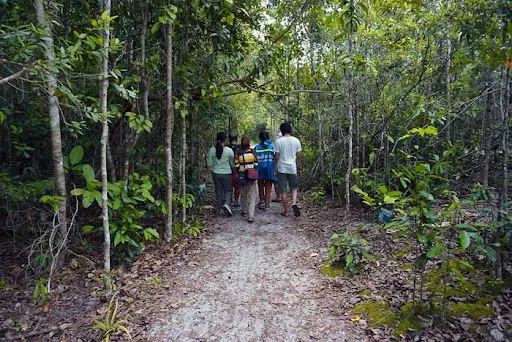Trekking di Taman Nasional Tanjung Puting
