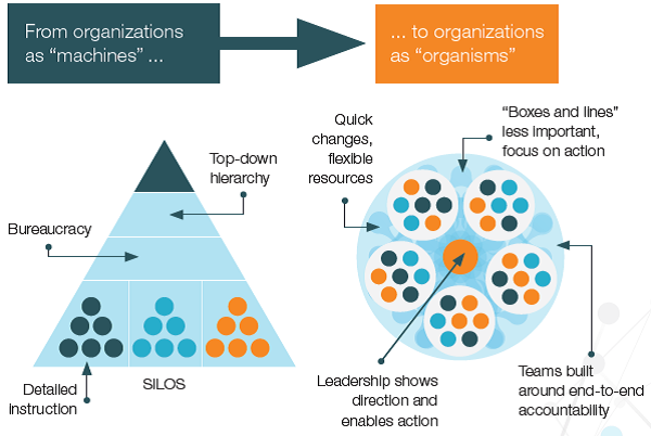 apa itu organisasi agile