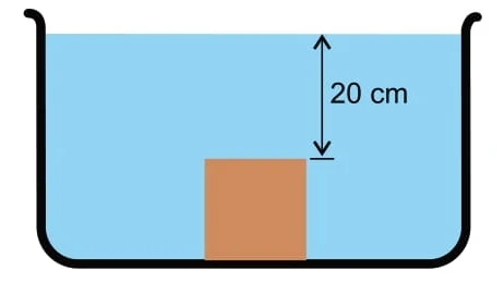 O bloco afundou até atingir o fundo do recipiente, como mostrado na figura, situação na qual a intensidade da força exercida pelo fundo do recipiente sobre o bloco é igual a 8,0 N.