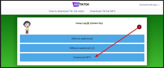 download lagu dan video tiktok tanpa watermark dengan ssstik io
